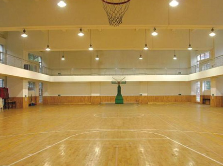 Indoor court lighting case